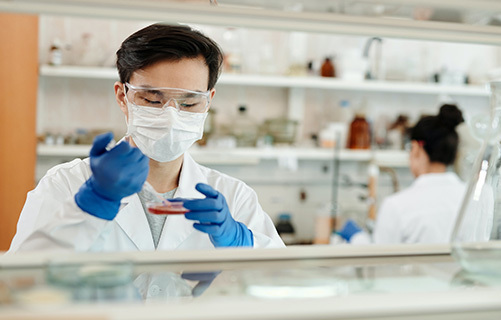 Present Contributions