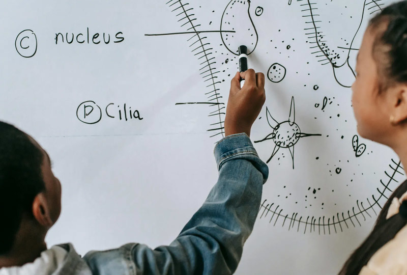 Enlightenting Minds Changing The World