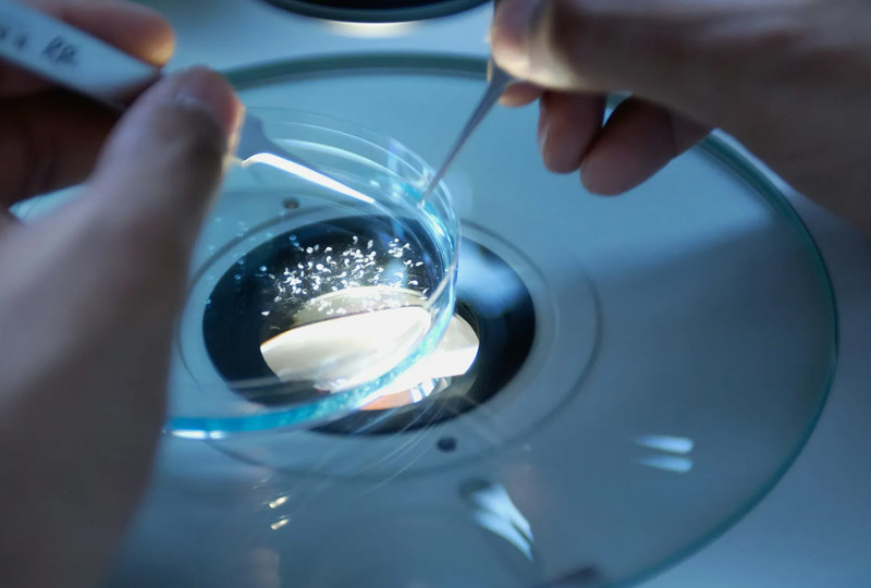 Stick To Quality Never Compromise