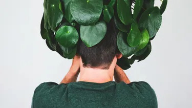 European Commission Approves Pfizer’s LITFULO™ for Adolescents and Adults With Severe Alopecia Areata